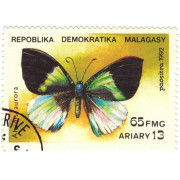 Бабочки. 1992 г. 