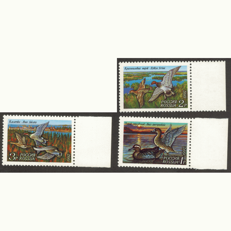Утки. 1992 г. 3 марки. Утки. 1992 г. 3 марки.