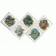 Фауна Тихоокеанского региона. 1993 г.