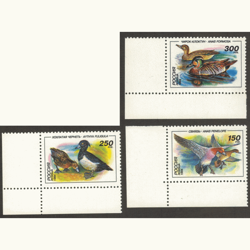 Утки 1994 г. 3 марки. Утки 1994 г. 3 марки.