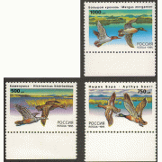 Утки 1995 г. 3 марки.