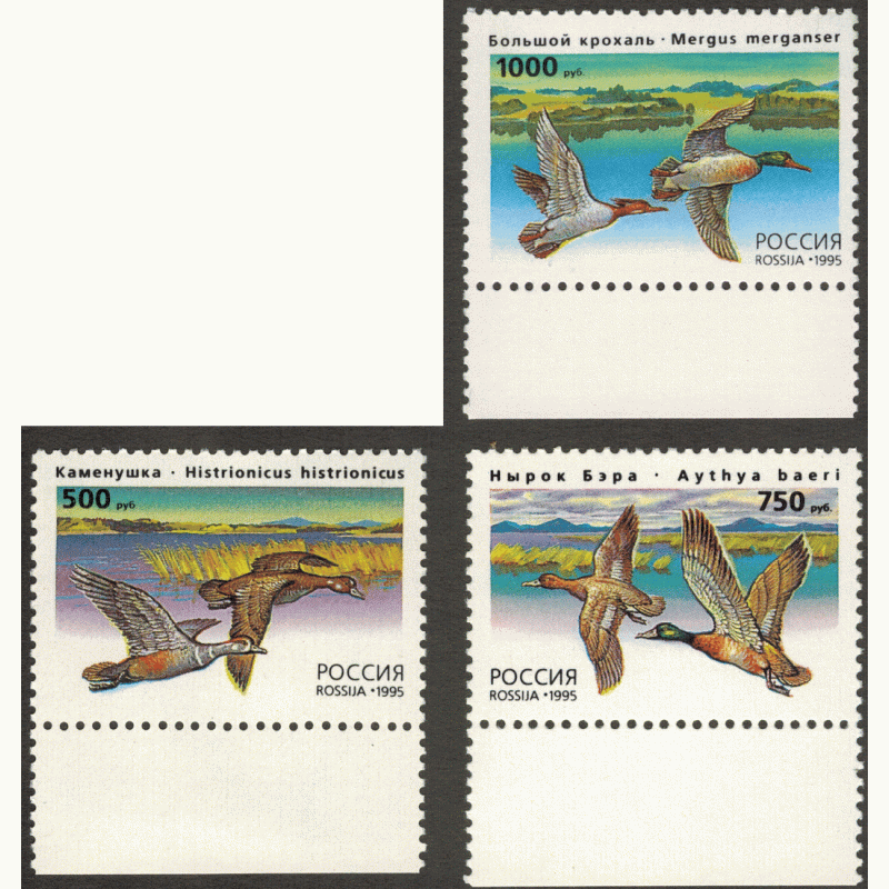 Утки 1995 г. 3 марки. Утки 1995 г. 3 марки.