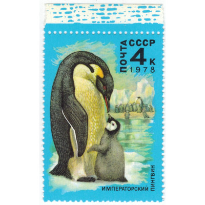 Императорский пингвин. 1978 г.