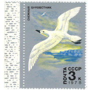 Снежный буревестник. 1978 г.