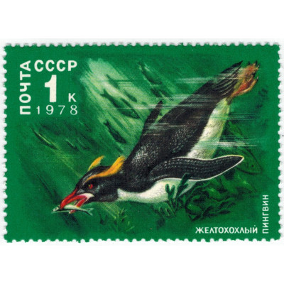 Желтохохлый пингвин. 1978 г.