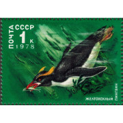 Желтохохлый пингвин. 1978 г.