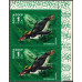 Желтохохлый пингвин. 1978 г. Желтохохлый пингвин. 1978 г.