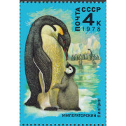 Императорский пингвин. 1978 г.
