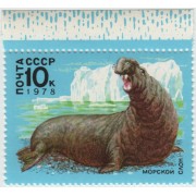 Морской слон. 1978 г.