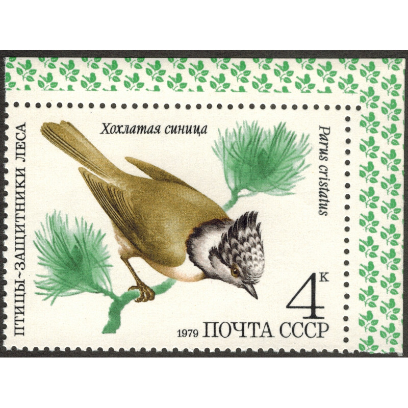 Хохлатая синица 1979 г. Хохлатая синица 1979 г.