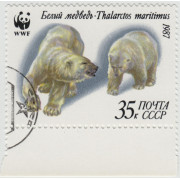 Белый медведь. 1987 г.