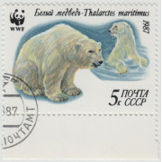 Белый медведь. 1987 г. #2