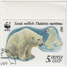 Белый медведь. 1987 г.