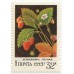 Дикорастущие ягоды 1982 г. 5 марок