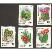 Кактусы. 1994 г. Серия.