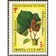 Заманиха высокая. 1973 г.