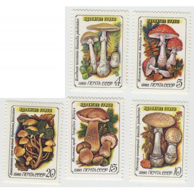 Ядовитые грибы. 1986 г. Серия.