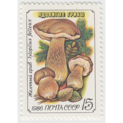 Желчный гриб. 1986 г.