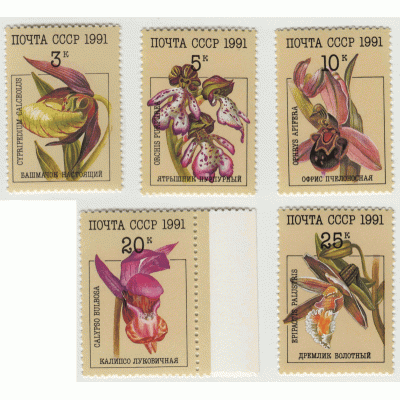 Орхидеи. 1991 г. Серия.