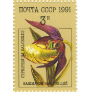 Башмачок настоящий. 1991 г.