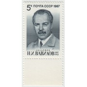 Н.И. Вавилов. 1987 г. Поле.