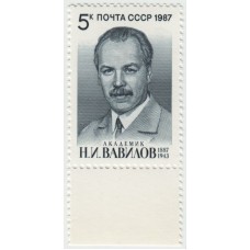 Н.И. Вавилов. 1987 г. Поле.